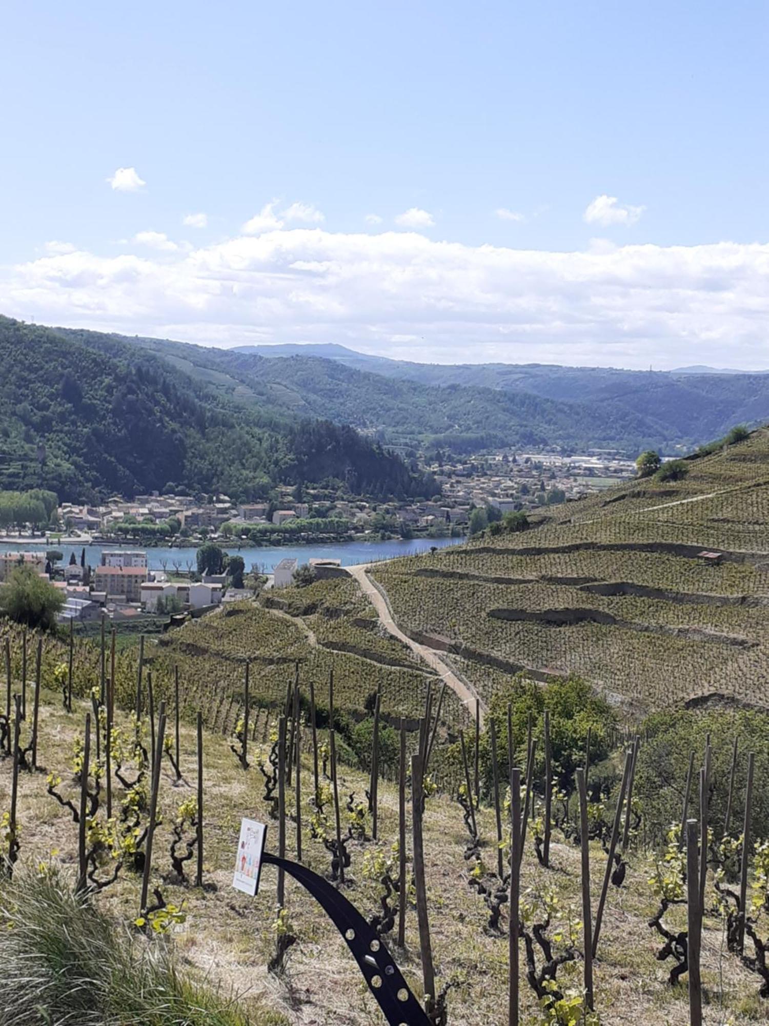 Gite Du Vigneron A La Terrasse Piscine Local Velos Tournon-sur-Rhone Zewnętrze zdjęcie